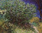 Bushes, Vincent Van Gogh